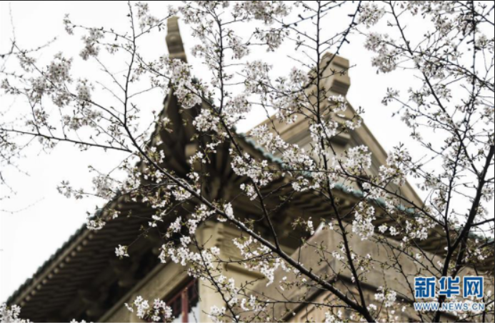 “疫”考后半場，“新基建”成為新焦點(diǎn)