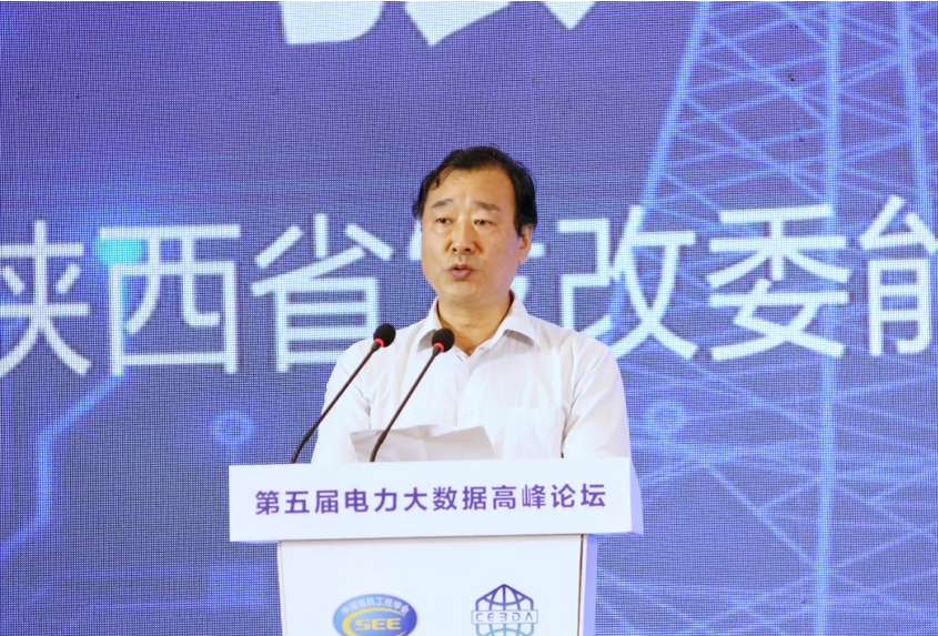 陜西省發改委能源局副局長張閆